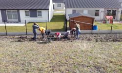 Plantations Cavalier   003